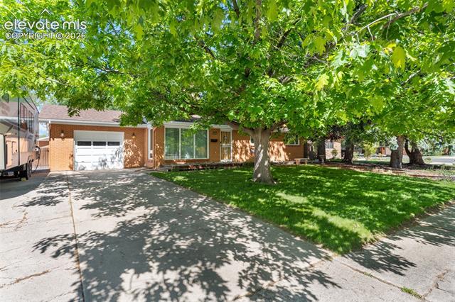 MLS Image for 1529  Hollyhock  ,Colorado Springs, Colorado