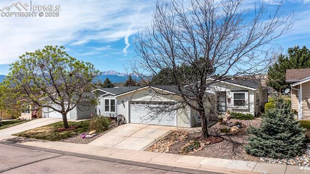 MLS Image for 4024  Gray Fox  ,Colorado Springs, Colorado