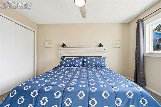 MLS Image for 6385  Bismark  ,Colorado Springs, Colorado