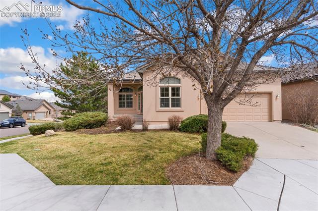 MLS Image for 4713  Aria  ,Colorado Springs, Colorado