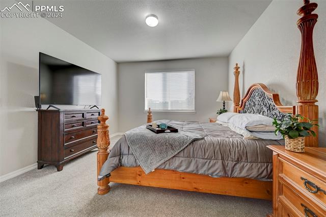 MLS Image for 5847  Wild Rye  ,Colorado Springs, Colorado