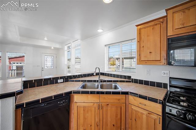 MLS Image for 4360  Gray Fox  ,Colorado Springs, Colorado