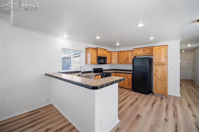MLS Image for 4360  Gray Fox  ,Colorado Springs, Colorado