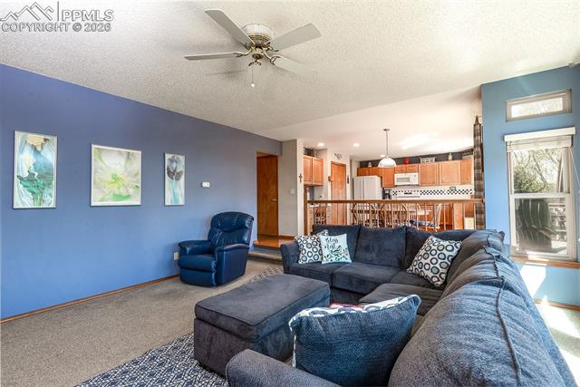 MLS Image for 6155  Moorfield  ,Colorado Springs, Colorado
