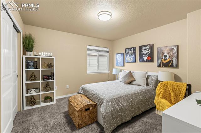 MLS Image for 6569  Tranters Creek  ,Colorado Springs, Colorado