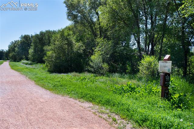 MLS Image for 169  Harvard  ,Colorado Springs, Colorado