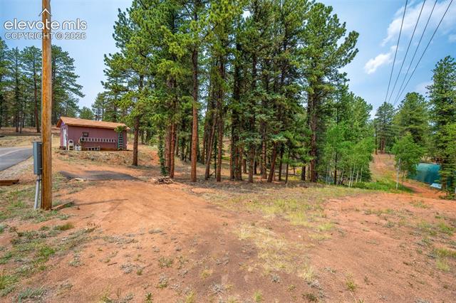 MLS Image for 156  Fossil Creek  ,Florissant, Colorado