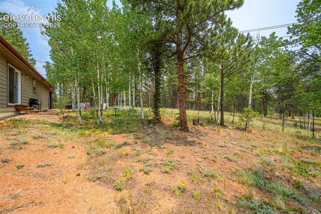 MLS Image for 156  Fossil Creek  ,Florissant, Colorado
