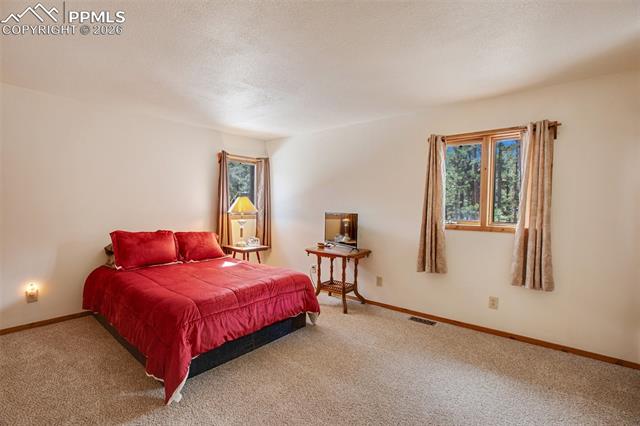 MLS Image for 725  Sunnywood  ,Woodland Park, Colorado