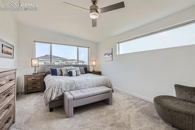 MLS Image for 9107  Glitter  ,Colorado Springs, Colorado