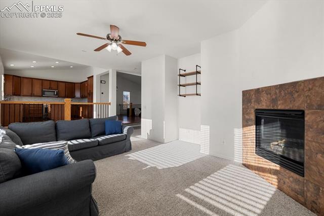 MLS Image for 14561  Air Garden  ,Colorado Springs, Colorado