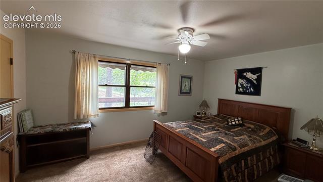 MLS Image for 741  Elfin Glen  ,Divide, Colorado