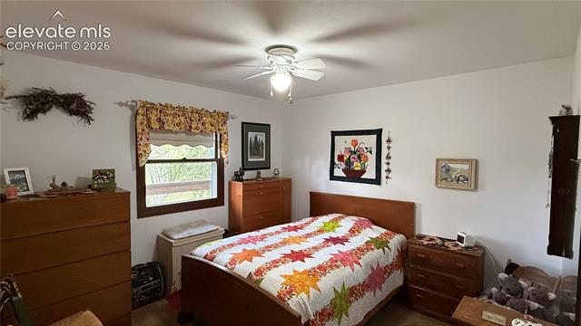 MLS Image for 741  Elfin Glen  ,Divide, Colorado