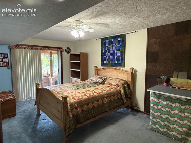 MLS Image for 741  Elfin Glen  ,Divide, Colorado