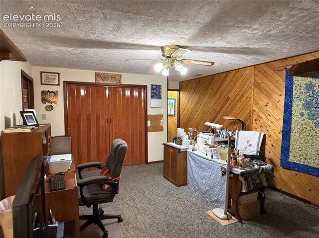 MLS Image for 741  Elfin Glen  ,Divide, Colorado
