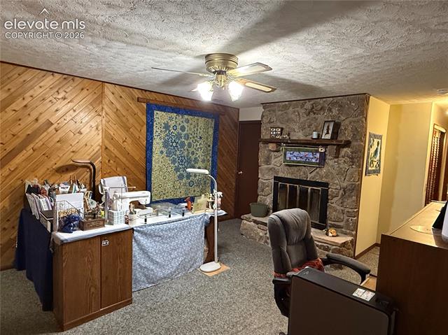 MLS Image for 741  Elfin Glen  ,Divide, Colorado