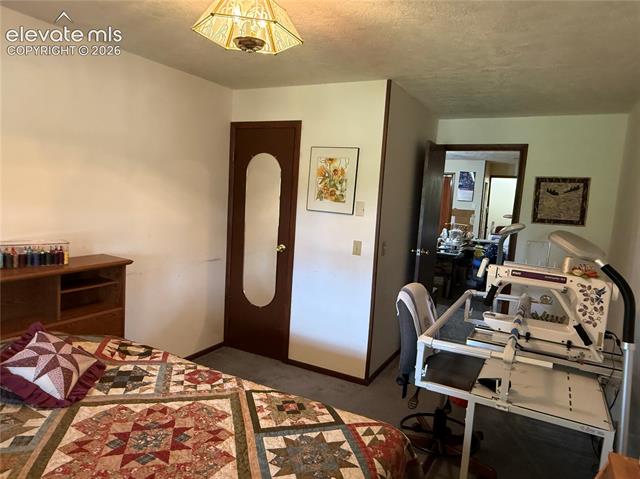 MLS Image for 741  Elfin Glen  ,Divide, Colorado