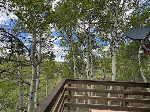 MLS Image for 741  Elfin Glen  ,Divide, Colorado