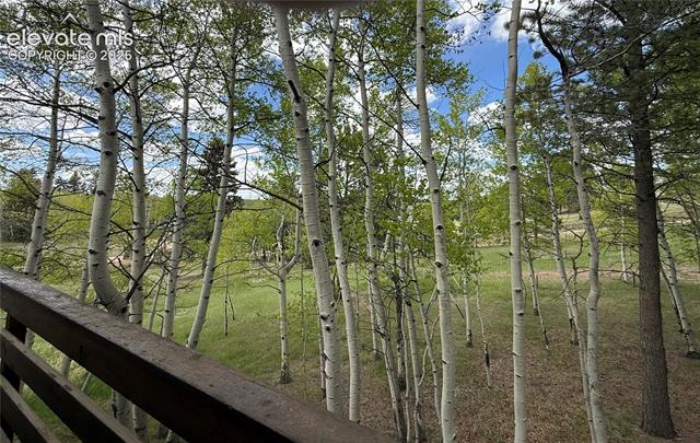 MLS Image for 741  Elfin Glen  ,Divide, Colorado