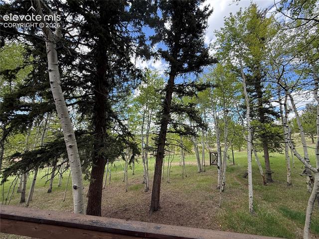 MLS Image for 741  Elfin Glen  ,Divide, Colorado