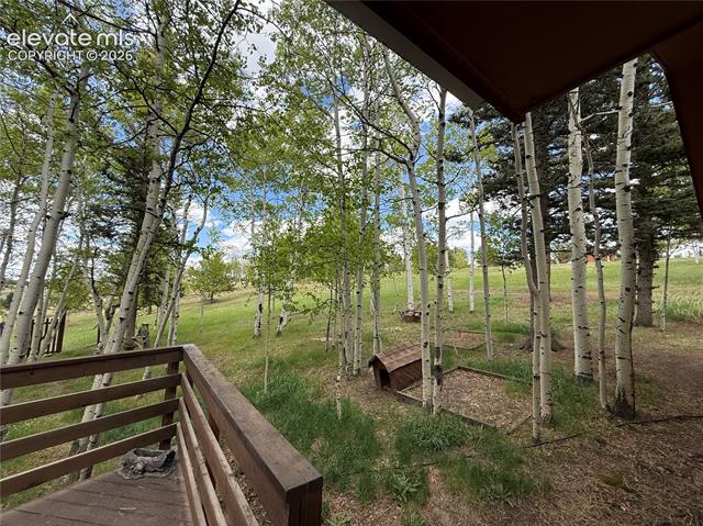 MLS Image for 741  Elfin Glen  ,Divide, Colorado