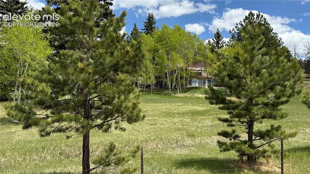 MLS Image for 741  Elfin Glen  ,Divide, Colorado