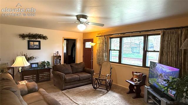 MLS Image for 741  Elfin Glen  ,Divide, Colorado