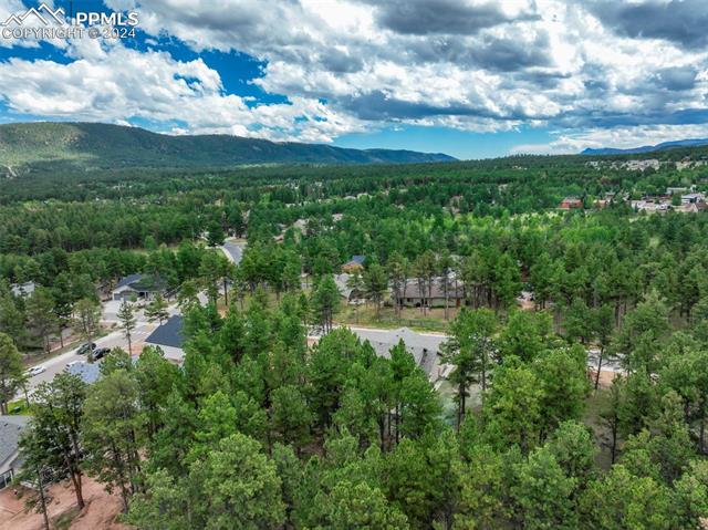 MLS Image for 1294  Firestone  ,Woodland Park, Colorado