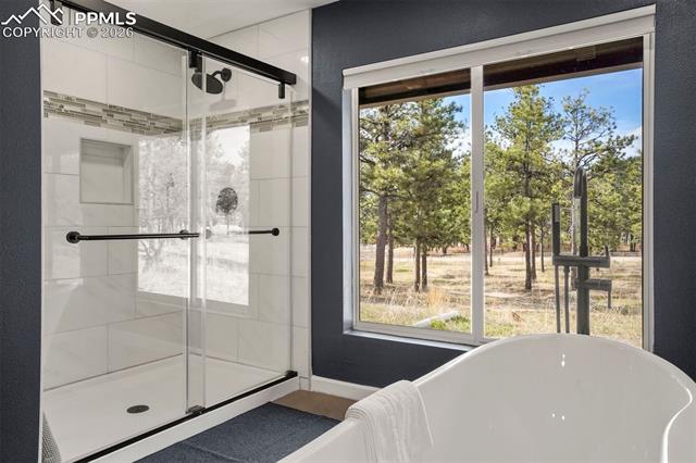 MLS Image for 11335  Wakely  ,Colorado Springs, Colorado