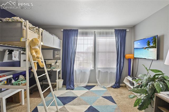 MLS Image for 8215  Birch Tree  ,Colorado Springs, Colorado