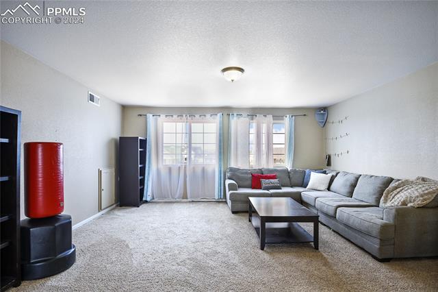 MLS Image for 8215  Birch Tree  ,Colorado Springs, Colorado