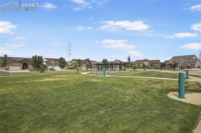 MLS Image for 8215  Birch Tree  ,Colorado Springs, Colorado