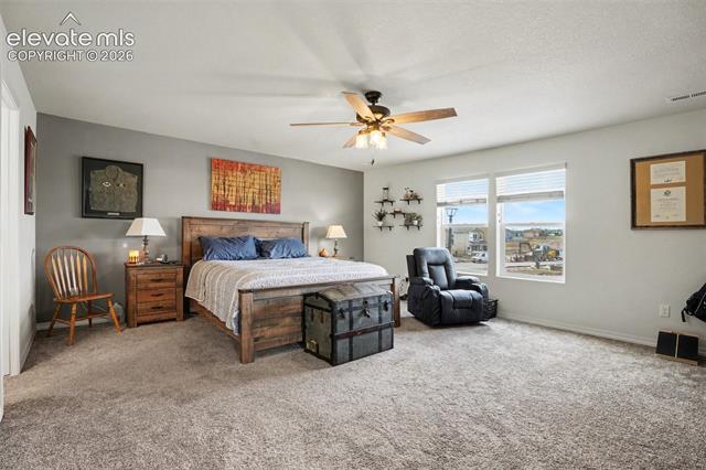 MLS Image for 11069  Silky Thread  ,Peyton, Colorado