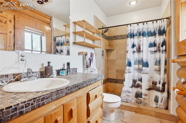MLS Image for 168  Sir Richard  ,Divide, Colorado