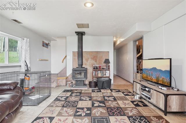 MLS Image for 168  Sir Richard  ,Divide, Colorado