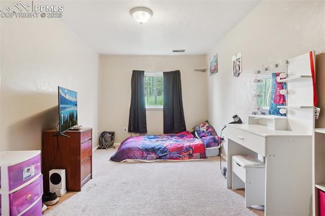 MLS Image for 168  Sir Richard  ,Divide, Colorado