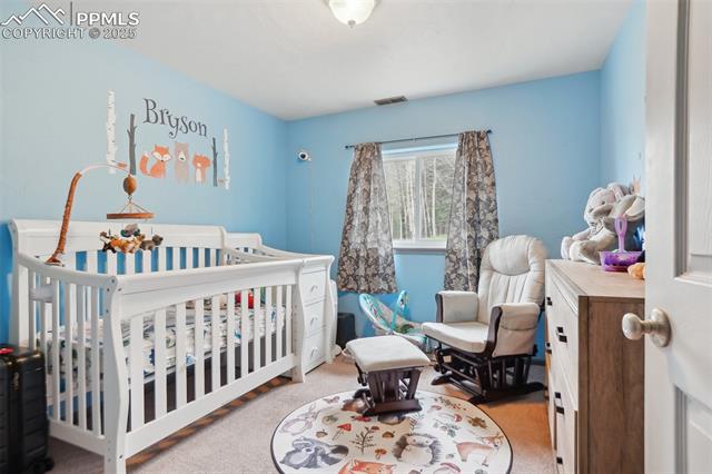 MLS Image for 168  Sir Richard  ,Divide, Colorado