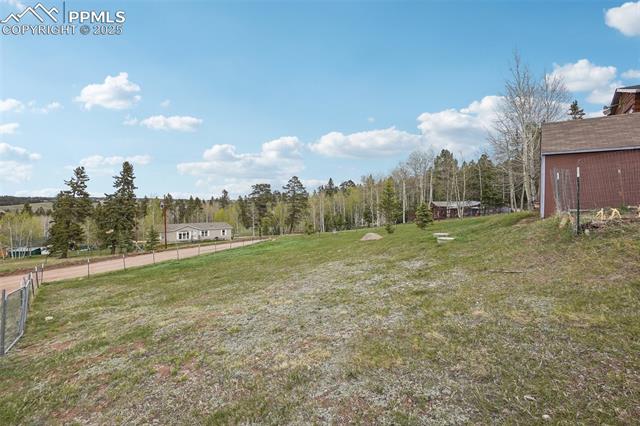 MLS Image for 168  Sir Richard  ,Divide, Colorado