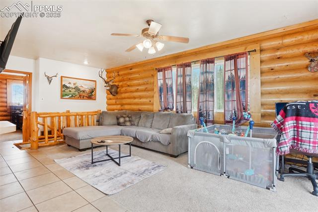 MLS Image for 168  Sir Richard  ,Divide, Colorado
