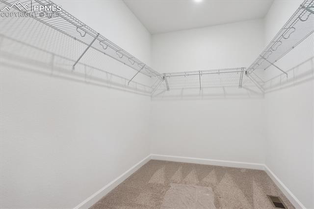 MLS Image for 16855  Starfall  ,Monument, Colorado