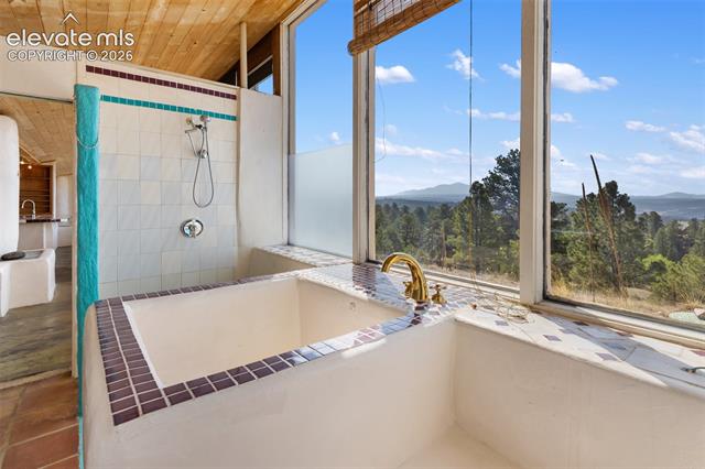 MLS Image for 523  Navajo  ,Florissant, Colorado