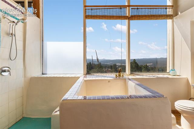 MLS Image for 523  Navajo  ,Florissant, Colorado