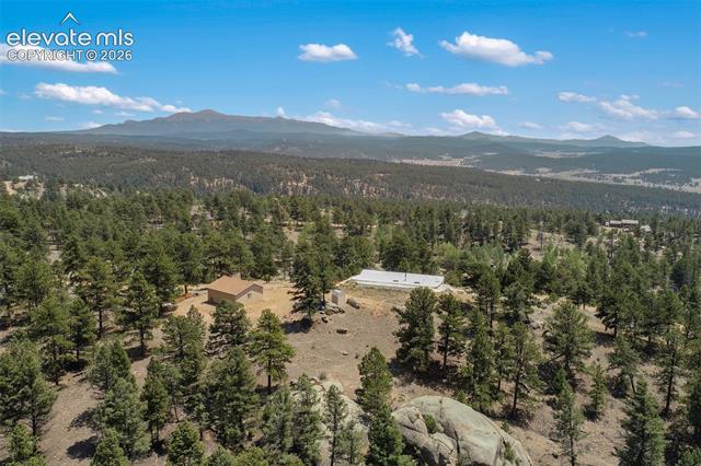 MLS Image for 523  Navajo  ,Florissant, Colorado