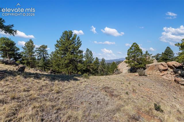 MLS Image for 523  Navajo  ,Florissant, Colorado