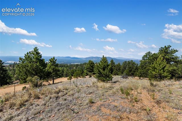 MLS Image for 523  Navajo  ,Florissant, Colorado