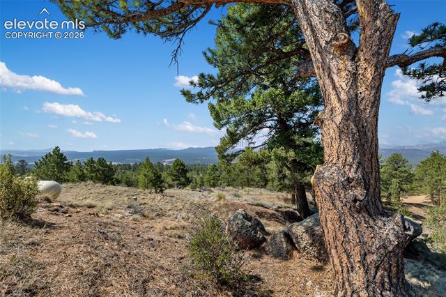 MLS Image for 523  Navajo  ,Florissant, Colorado