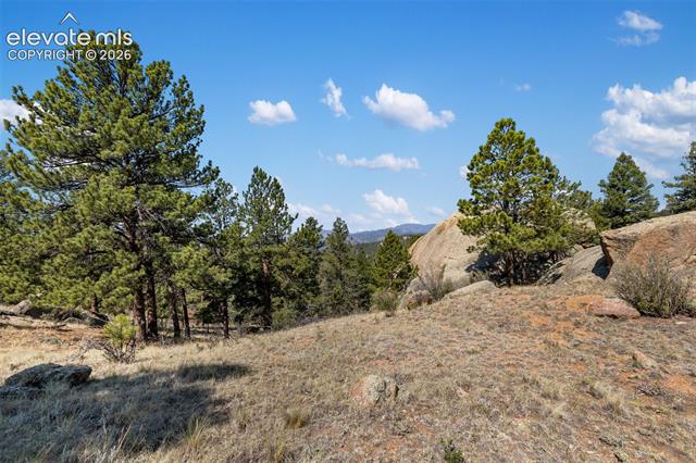 MLS Image for 523  Navajo  ,Florissant, Colorado