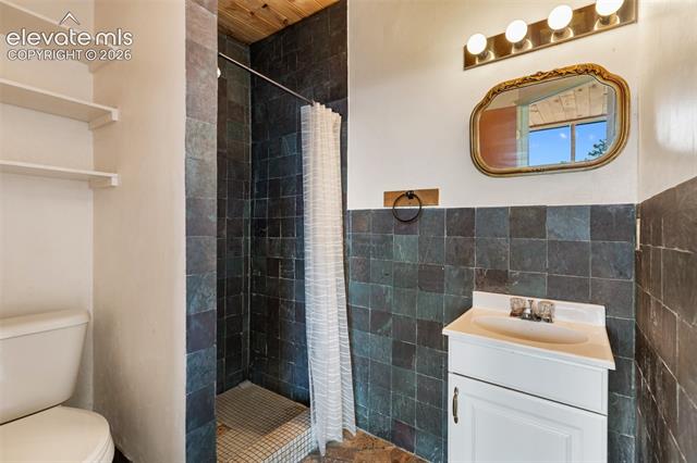 MLS Image for 523  Navajo  ,Florissant, Colorado