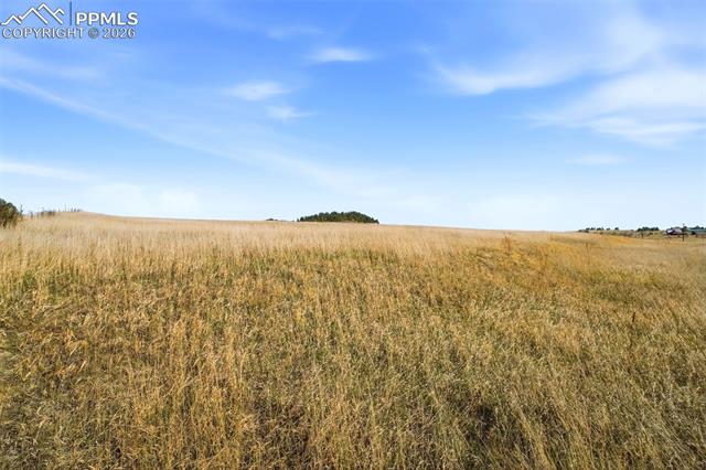 MLS Image for 17430  Esmeralda  ,Peyton, Colorado