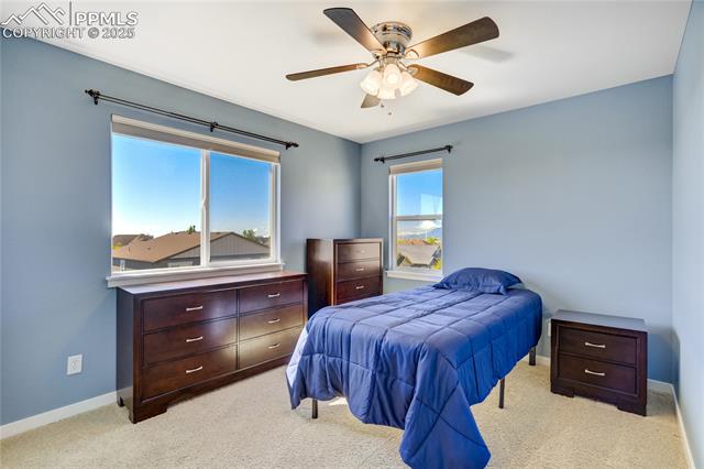 MLS Image for 5071  Farris Creek  ,Colorado Springs, Colorado